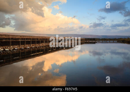 Lange Holzbrücke bei Sonnenuntergang. Swamp Trail. Hula-Naturschutzgebiet. Hula-Tal. Israel. Stockfoto