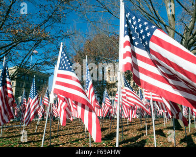 Reihen von Flaggen zu ehren uns Veteranen stehen auf dem Display an Park Square in Pittsfield, Massachusetts. Stockfoto