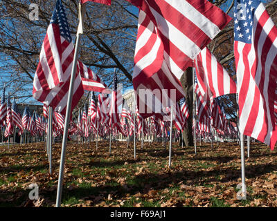 Reihen von Flaggen zu ehren uns Veteranen stehen auf dem Display an Park Square in Pittsfield, Massachusetts. Stockfoto