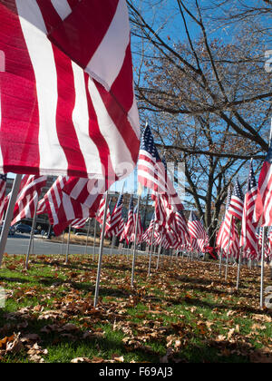 Reihen von Flaggen zu ehren uns Veteranen stehen auf dem Display an Park Square in Pittsfield, Massachusetts. Stockfoto