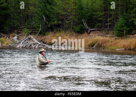 Fliegen Sie Fisherman im Madison River Stockfoto