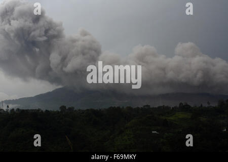 Ein Bild aus dem Dorf Tiga Pancur in Karo, Nord-Sumatra, zeigt Sinabung Ausbreitung der Vulkanasche in der Ferne auf Sonntag, 15. November 2015, Indonesien. Nach der Verbesserung des Status von aktiven Vulkanen, wurde aufgenommen in die höchste Warnstufe seit 2. Juni 2015, das Zentrum für Vulkanologie und geologischen Katastrophenvorsorge eine Empfehlung ausgesprochen, dass Bewohner keine Aktivitäten in einem Umkreis von 3 Kilometer vom Gipfel des Berges, 7 Kilometer (4 Meilen) Auftraggeber Bagain Süd-Ost, 6 km Süd-Ost-Abschnitt des Ostens und 4 Kilometer nördlich durchführen Stockfoto