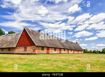 Bild einer großen Reetdach-Scheune. Borgeby, Schweden. Stockfoto