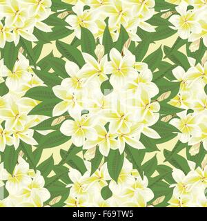 Blumen Frangipani nahtlose Hintergrund mit Blätter in realistischen handgezeichneten Stil Stock Vektor