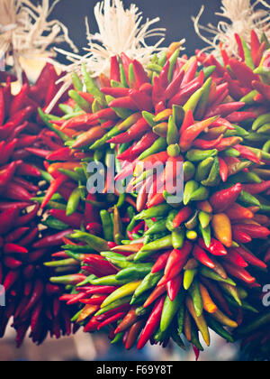 Frische Rista auf dem Display auf dem örtlichen Bauernmarkt. Legende hat es, im Südwesten, dass Chili Ristras hängen Glück bringt Stockfoto