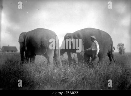 Reisen Zirkus kommt zu Smoky Lake, Alberta Stockfoto