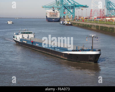 Lurona (Schiff, 1995), ENI 02207080, Hafen von Antwerpen pic5 Stockfoto