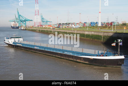 Lurona (Schiff, 1995), ENI 02207080, Hafen von Antwerpen pic6 Stockfoto