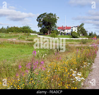 HALSINGLAND, SCHWEDEN AM 24. JULI 2015. Blick auf eine schöne hölzerne Gehöft, Gebäude. Garten, Park und Blumen. Redaktionelle Nutzung. Stockfoto