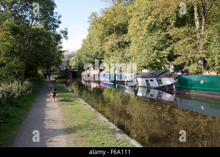 Kanal bei Hebden Bridge, eine kleine, aber charmante und lebendige Stadt in West Yorkshire, England, Vereinigtes Königreich. Stockfoto