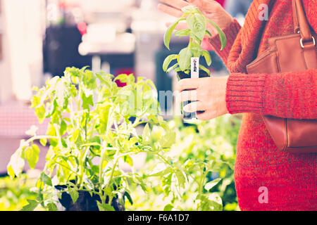 Frische Produkte auf dem örtlichen Bauernmarkt. Stockfoto