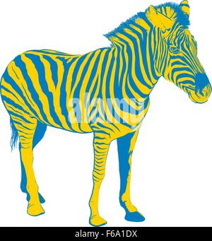 Gelb Blau Zebra Stock Vektor