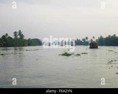 Hausboote, gleiten über die ruhig ruhigen Wasserwege von Kerala umgeben von üppigen tropischen Palmen. Stockfoto