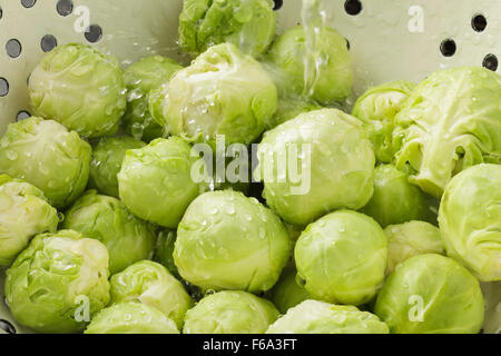 Rosenkohl im Sieb mit fließendem Wasser Stockfoto