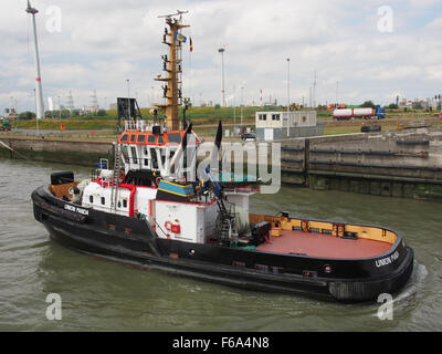 Union Panda ist im Hafen von Antwerpen tätig und befördern Containerfracht, allgemeine Güter und Schüttgüter wie Kohle und Getreide. Das Schiff beteiligt sich am Andocken und Entladen im Hafen. Stockfoto