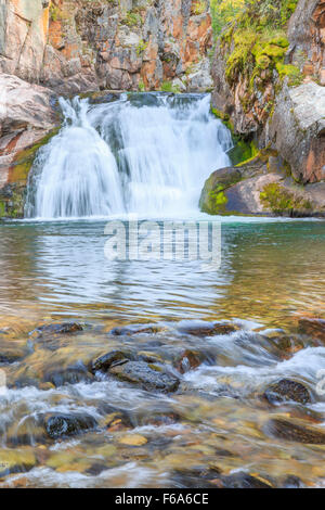 Wasserfall entlang Tenderfoot Creek in den kleinen Belt-Bergen in der Nähe von weißen Schwefelquellen, montana Stockfoto