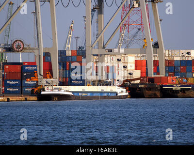 Die Krabbegeul, gekennzeichnet durch die ENI-Nummer 02325257, ist ein Schiff, das im Hafen von Rotterdam verkehrt. Er hat mehrere Rollen, unter anderem als Öltanker, Containerschiffe und Gastanker. Das Schiff ist für den Transport von allgemeinen Gütern wie Kohle, Getreide und Öl tätig und dockt häufig an den Krananlagen des Hafens an, um Be- und Entladevorgänge durchzuführen, was eine Schlüsselrolle in der Logistik und im Seehandel spielt. Stockfoto