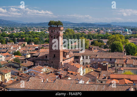 Blick über die Stadt Lucca, Toskana, Italien. Auffälligste Merkmal ist der mittelalterliche Torre Guinigi Turm mit Bäumen auf seiner Spitze. Stockfoto