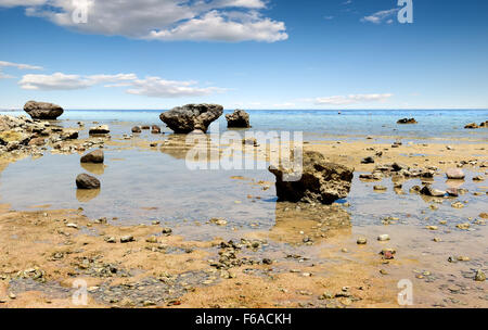 Niedrigwasser am Strand des Roten Meeres Stockfoto