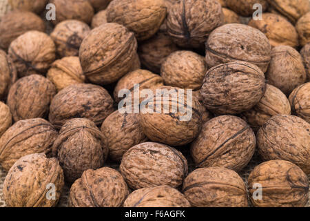 Bild zeigt einen Haufen von Walnüssen auf eine Jute-Tasche Stockfoto