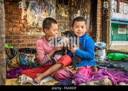 Obdachlose Kinder spielen mit Welpen auf der Straße von Kathmandu. Stockfoto