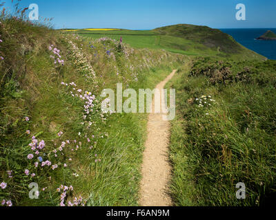 Der South West Coast Path in der Nähe der Bürzel und Pentire Point, North Cornwall Stockfoto