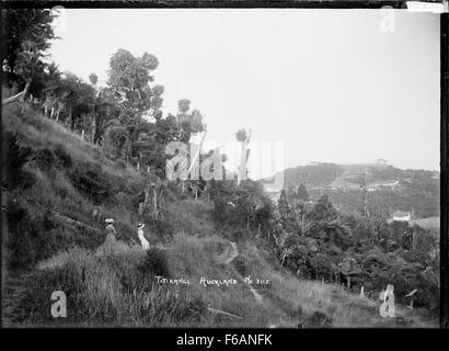 Landschaft in Titirangi, mit einheimischen Busch Stockfoto