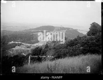 Landschaft in Titirangi, mit einheimischen Busch Stockfoto