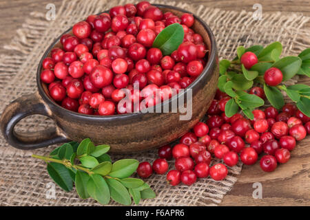 Preiselbeeren Cranberry rustikale Stillleben Stockfoto