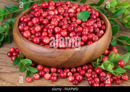 Cranberry Preiselbeeren in Holzschale Nahaufnahme Stockfoto