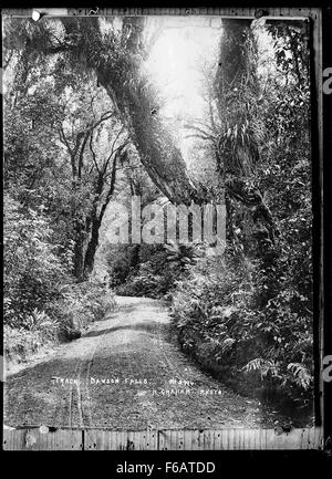 Dieses Bild zeigt einen Wanderweg auf dem Mount Egmont (auch bekannt als Mount Taranaki) in der Gegend um die Dawson Falls in Neuseeland. Die Strecke bietet malerische Ausblicke auf die umliegende Landschaft und ist ein beliebtes Ziel für Outdoor-Enthusiasten. Stockfoto