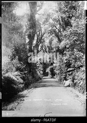 Die Strecke auf dem Mt. Egmont im Gebiet der Dawson Falls bietet eine malerische und anspruchsvolle Wanderung durch das zerklüftete Gelände der neuseeländischen Taranaki-Region mit Blick auf den Vulkanberg. Stockfoto