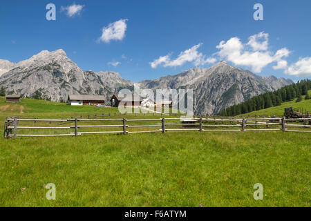 Ländliches Motiv mit Bergkette im Hintergrund. Alpen, Österreich. Stockfoto