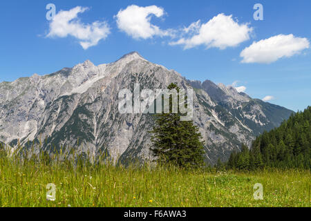 Almwiese mit Bergkette im Hintergrund. Österreich, Tirol. Stockfoto