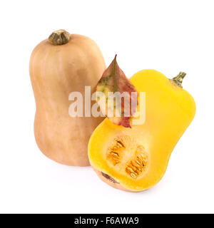 Butternut Kürbis isoliert auf weiss Stockfoto