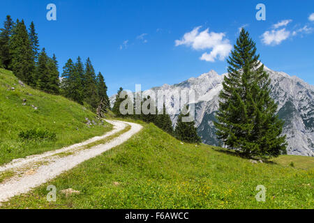 Pfad durch Sommer Berglandschaft. Österreich. Tirol, in der Nähe von Walderalm. Stockfoto