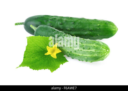 frische Gurken mit Blatt isoliert auf weiss Stockfoto