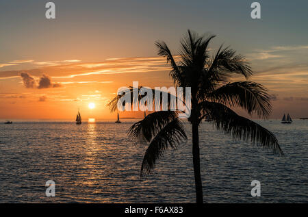 Sonnenuntergang von Key West in der Nähe von Westin Hotel Stockfoto