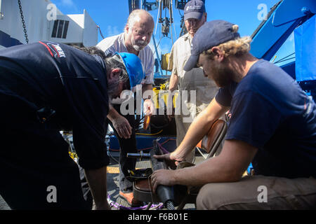 151023-N-RZ218-131 BAHAMAS (23. Oktober 2015) Unternehmer mit Phoenix International Incorporated bereiten ein Schlepptau Pinger Locater 25 (TPL 25) für die kommende Bergung Mission an Bord der USNS Apache (T-ATF-172). USNS Apache verließ Norfolk, Virginia, Okt. 19, zunächst auf der Suche nach Wrack aus dem fehlenden US Flagge fahrenden Handelsschiff El Faro. Das Schiff verfügt über mehrere Stücke von Unterwasser Suche Ausrüstung, darunter ein Voyage Data Recorder Locator, Side-Scan Sonar und eine Unterwasser remote betriebenen Fahrzeug. Die Marine Aufgabe wird es sein, zuerst das Schiff zu finden und, wenn möglich, die Reise abrufen Stockfoto