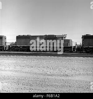 Der Diesel Electric Road Switcher Nr. 703 der Missouri Pacific Railroad ist ein wichtiges Stück Eisenbahngeschichte. Die Lokomotive ist Teil der MOPAC-Flotte und wurde auf verschiedenen Bahnhöfen für den Güterumstieg eingesetzt. Stockfoto