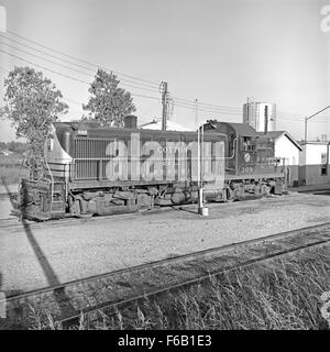 St. Louis Southwestern Diesel Electric Road Switcher No. 309, der auf der Cotton Belt Route betrieben wird, ist ein klassisches Beispiel für die amerikanische Eisenbahnfahrt Mitte des 20. Jahrhunderts. Diese Lokomotive, die in Bahnhöfen eingesetzt wird, unterstreicht die Bedeutung von dieselelektrischen Umschaltern für die Verwaltung des Güter- und Zugbetriebs während der Zeit der raschen Industrialisierung. Stockfoto