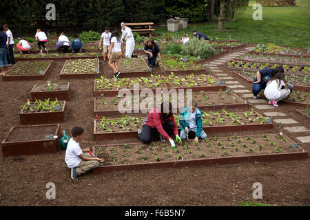 First Lady Michelle Obama verbindet Studenten für den Frühlingsgarten Pflanzen im Weißen Haus Küchengarten, 15. April 2015. Lawrence Jackson) Stockfoto