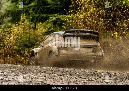 North Wales Großbritannien. 15. November 2015. WRC-Rallye von Großbritannien. Letzten Tages-Etappen und Podium. Elfyn Evans (GB) - Daniel Barrit (GB) - Ford Fiesta WRC Credit: Aktion Plus Sport/Alamy Live-Nachrichten Stockfoto