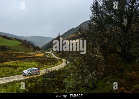 North Wales Großbritannien. 15. November 2015. WRC-Rallye von Großbritannien. Letzten Tages-Etappen und Podium. Elfyn Evans (GB) - Daniel Barrit (GB) - Ford Fiesta WRC Credit: Aktion Plus Sport/Alamy Live-Nachrichten Stockfoto
