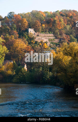 Herbstlaub auf den Hängen des ehemaligen königlichen Jagdrevier hinter Schloss Colditz, Deutschland Stockfoto