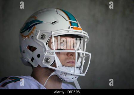 Philadelphia, Pennsylvannia, USA. 15. November 2015. Miami Dolphins quarterback Ryan Tannehill (17) am Lincoln Financial Field in Philadelphia, Pennsylvannia am 15. November 2015. Bildnachweis: Allen Eyestone/The Palm Beach Post/ZUMA Draht/Alamy Live-Nachrichten Stockfoto