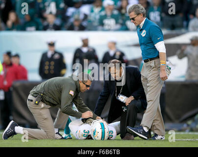 Philadelphia, Pennsylvannia, USA. 15. November 2015. Miami Dolphins kostenlose Sicherheits-Walt Aikens (35) auf ein Theaterstück an Lincoln Financial Field in Philadelphia, Pennsylvannia am 15. November 2015 verletzt ist. Bildnachweis: Allen Eyestone/The Palm Beach Post/ZUMA Draht/Alamy Live-Nachrichten Stockfoto