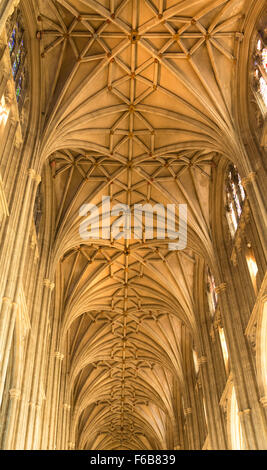 Das Kirchenschiff Decke, die Kathedrale von Canterbury, Canterbury, Stadt von Canterbury, Kent, England, Vereinigtes Königreich Stockfoto