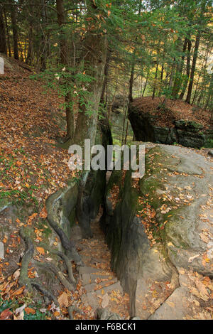 Treppe Weg zwischen Felsbrocken in Cantwell Cliffs, Hocking Hills Region von Ohio. Stockfoto