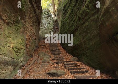Treppe Weg zwischen Felsbrocken in Cantwell Cliffs, Hocking Hills Region von Ohio. Stockfoto